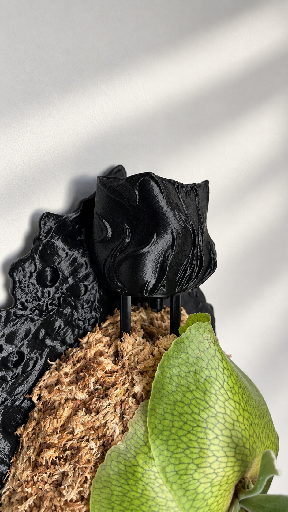 Watering Thingy — Black / White