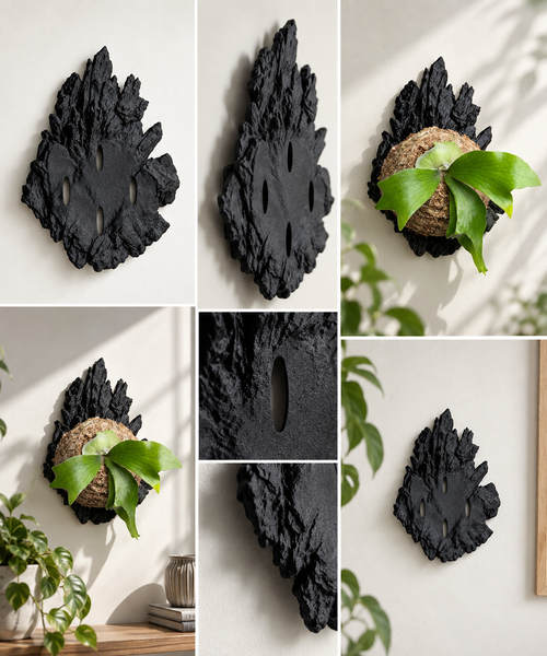 Mounted Staghorn Fern — P. alcicorne